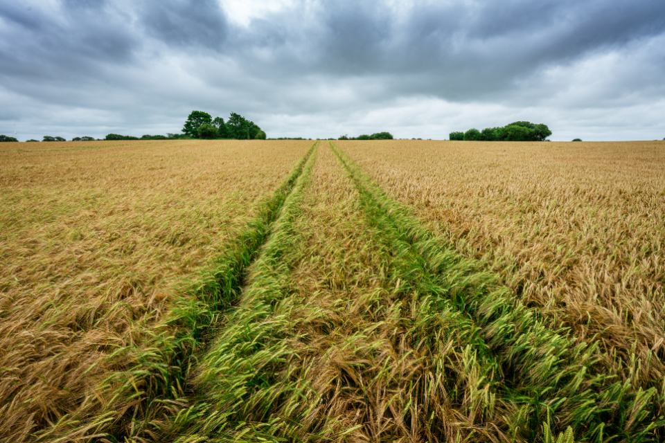 Agriculture & farming business funding